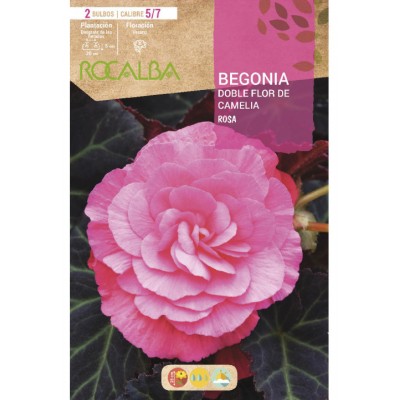 S.BOLBO SAQUETA RO.BEGONIA FC ROSA-EBBG8730