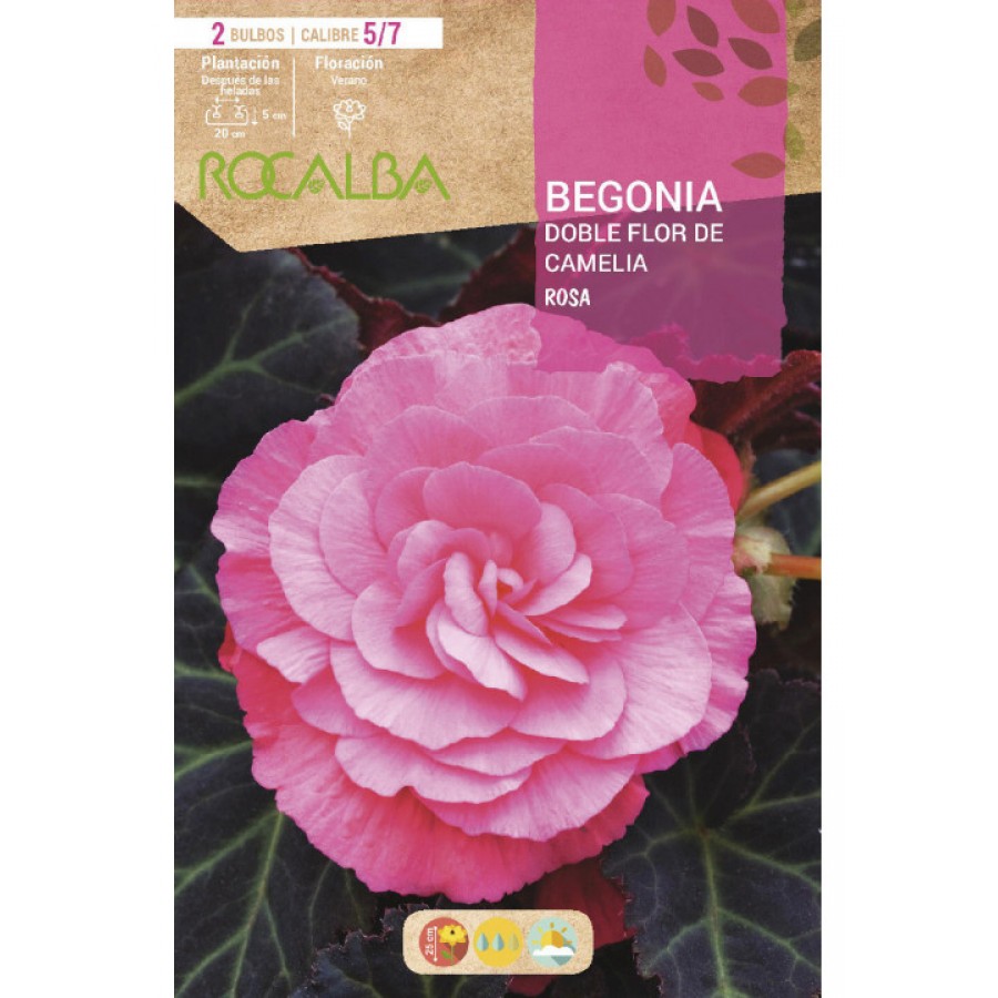 S.BOLBO SAQUETA RO.BEGONIA FC ROSA-EBBG8730