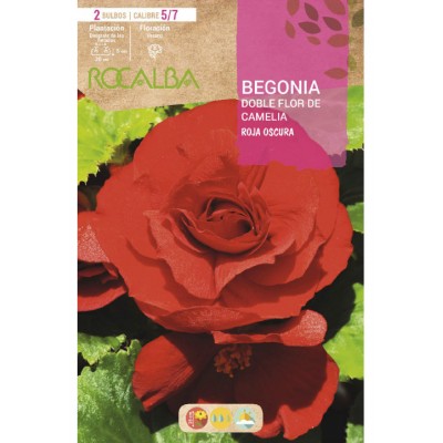 S.BOLBO SAQUETA BEGONIA FC VERMELHO-EBBG8735