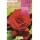 S.BOLBO SAQUETA BEGONIA FC VERMELHO-EBBG8735