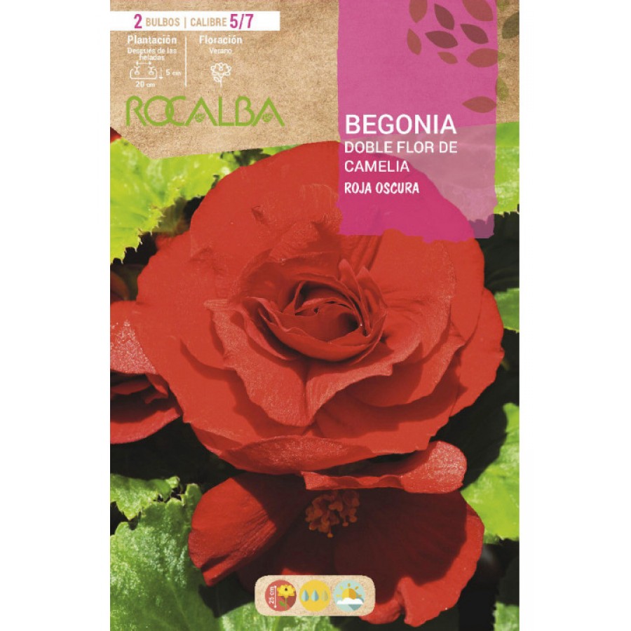 S.BOLBO SAQUETA BEGONIA FC VERMELHO-EBBG8735