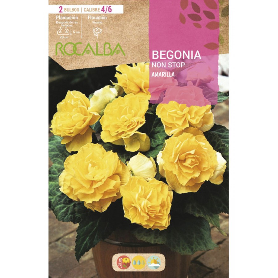 S.BOLBO SAQUETA BEGONIA NON STOP AMARELO-EBBG8880