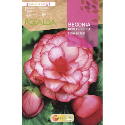 S.BOLBO SAQUETA RO.BEGONIA DB ROSA -EBBG8910