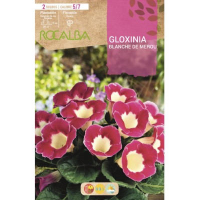 S.BOLBO SAQUETA GLOXINIA BLANCHE DE MERU ROSA COM CREME-EBGX8995