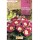 S.BOLBO SAQUETA GLOXINIA BLANCHE DE MERU ROSA COM CREME-EBGX8995