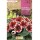 S.BOLBO SAQUETA GLOXINIA KAISER FRIEDRICH VERMELHA E BRANCA-EBGX9000