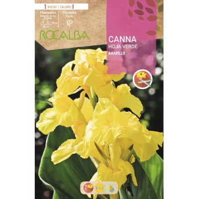 S.BOLBO SAQUETA CANAS DA INDIA AMARELOS ( FOLHAS VERDES )-EBCV9020