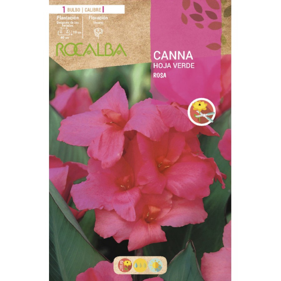 S.BOLBO SAQUETA CANAS DA INDIA ROSA ( FOLHAS VERDES )-EBCV9030 S.BOLBO SAQUETA CANAS DA INDIA ROSA ( FOLHAS VERDES )-EBCV9030