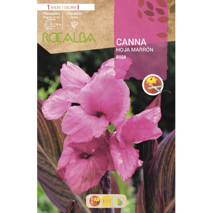 S.BOLBO SAQUETA CANAS DA INDIA ROSA ( FOLHAS CASTANHAS )-EBCM9060