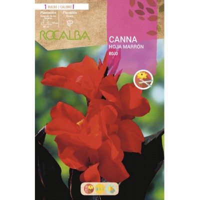 S.BOLBO SAQUETA CANAS DA INDIA VERMELHA ( FOLHAS CASTANHAS )-EBCM9065