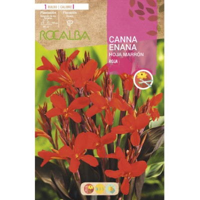 S.BOLBO SAQUETA CANAS DA INDIA ANAS VERMELHA ( FOLHAS CASTANHAS )-EBCE9085