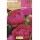 S.BOLBO SAQUETA RO. PEONIA ROSA -EBPN9110