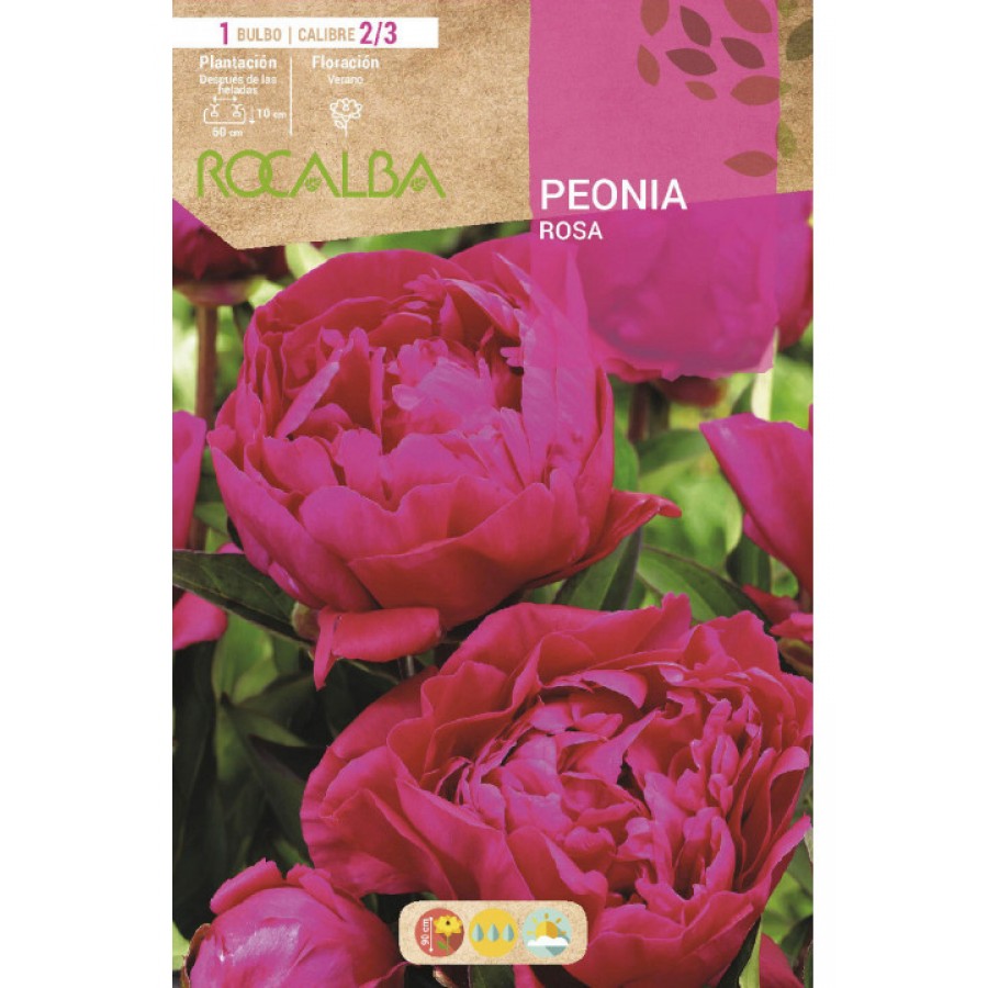S.BOLBO SAQUETA RO. PEONIA ROSA -EBPN9110 S.BOLBO SAQUETA RO. PEONIA ROSA -EBPN9110