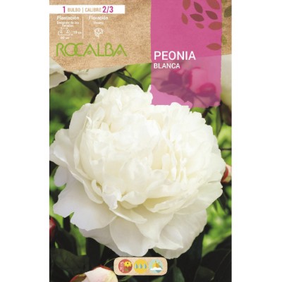 S.BOLBO SAQUETA  PEONIA BRANCO -EBPN9115