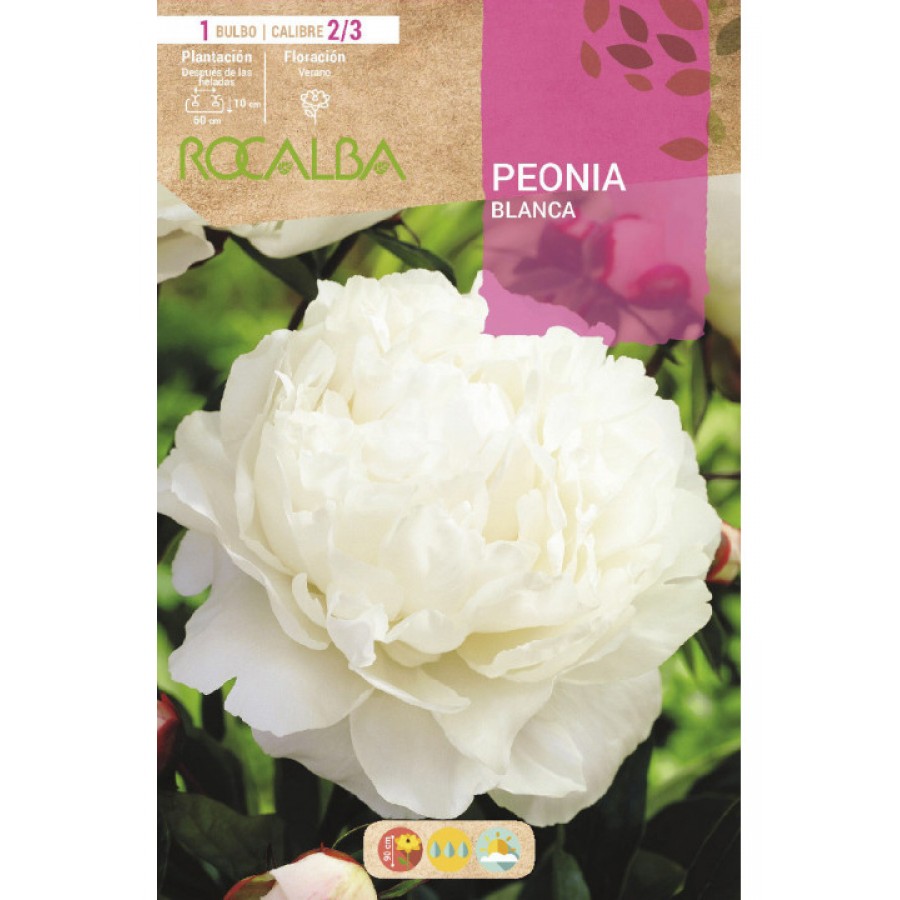 S.BOLBO SAQUETA  PEONIA BRANCO -EBPN9115