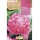S.BOLBO SAQUETA PEONIA SALMAO -EBPN9120