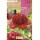S.BOLBO SAQUETA PEONIA VERMELHO -EBPN9125