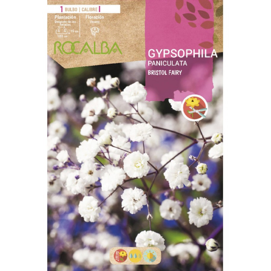 S.BOLBO SAQUETA ROCALBA GYPSOPHILA PANICU-EBGY9275 S.BOLBO SAQUETA ROCALBA GYPSOPHILA PANICU-EBGY9275