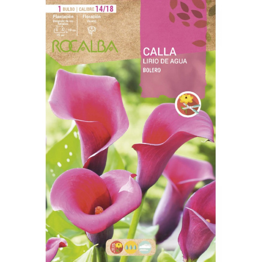 S.BOLBO SAQUETA JARROS BOLERO -EBCA9185