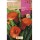 S.BOLBO SAQUETA ROCALBA JARROS FIRELIGHT -EBCA9190