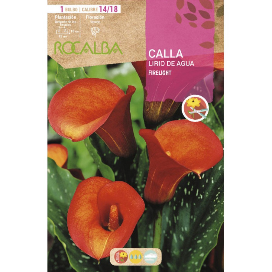 S.BOLBO SAQUETA ROCALBA JARROS FIRELIGHT -EBCA9190 S.BOLBO SAQUETA ROCALBA JARROS FIRELIGHT -EBCA9190