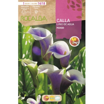 S.BOLBO SAQUETA JARROS PICASSO -EBCA9195