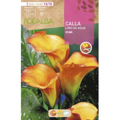 S.BOLBO SAQUETA JARROS SELINA-EBCA9210