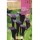 S.BOLBO SAQUETA JARROS BLACK STAR -EBCA9225