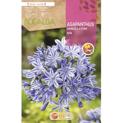 S.BOLBO SAQUETA AGAPANTHUS AZUL -EBVU9340