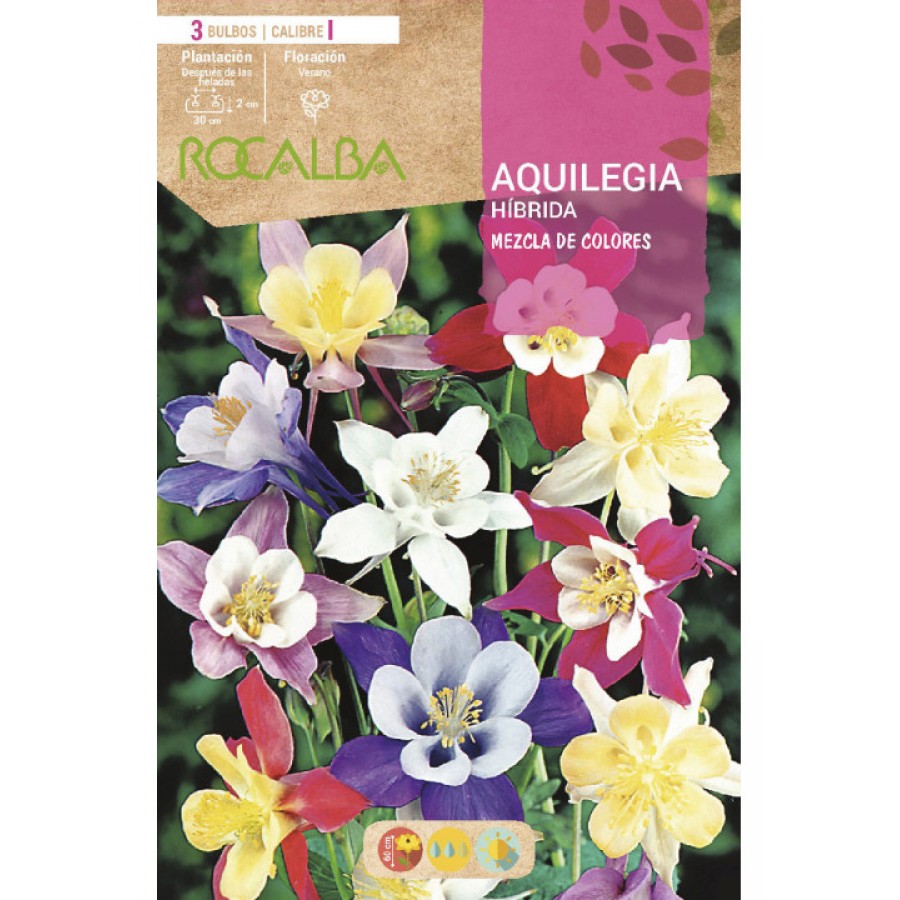 S.BOLBO SAQUETA ROCALBA AQUILEGIA HIBRIDA-EBVU9355