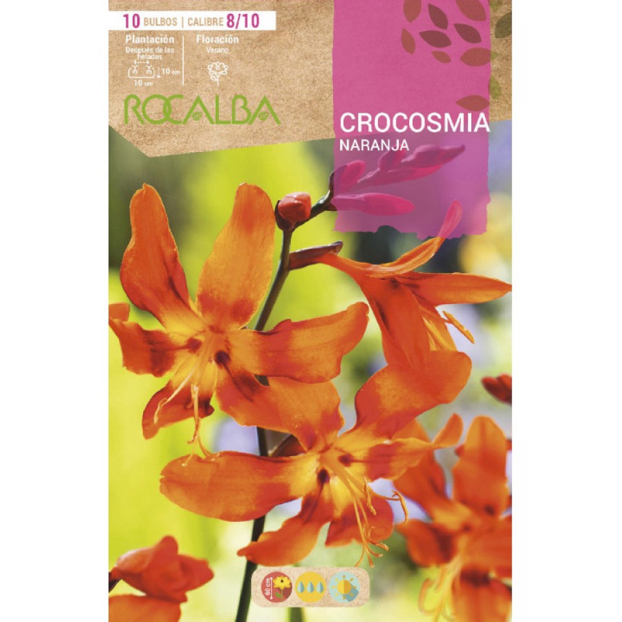 S.BOLBO SAQUETA CROCOSMIA LARANJA - EBVU9375 S.BOLBO SAQUETA CROCOSMIA LARANJA - EBVU9375