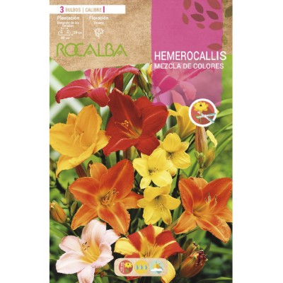 S.BOLBO SAQUETA HEMEROCALLIS MISTURA  - EBVU9400