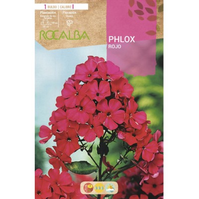 S.BOLBO SAQUETA PHLOX ROXO-EBVU9450