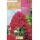 S.BOLBO SAQUETA PHLOX ROXO-EBVU9450