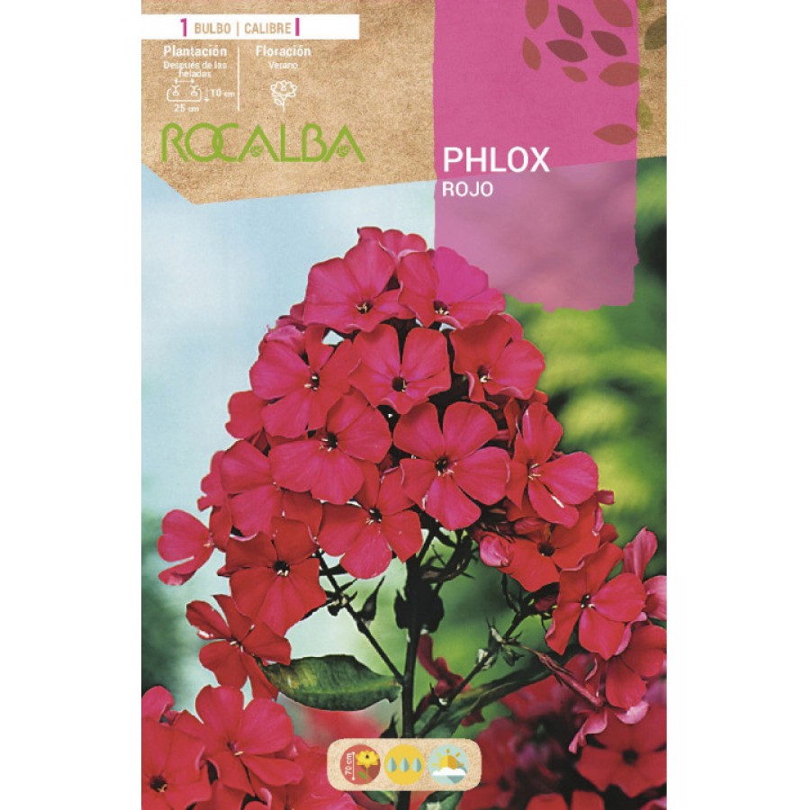 S.BOLBO SAQUETA PHLOX ROXO-EBVU9450 S.BOLBO SAQUETA PHLOX ROXO-EBVU9450