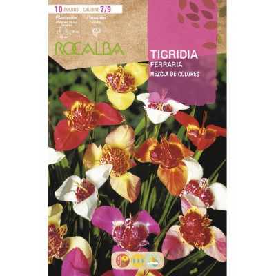 S.BOLBO SAQUETA TIGRIDA FERRARIA  - EBVU9480