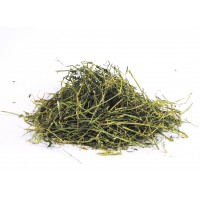 FENO SELECT HAY SECO ALFA-GRASS F-XXL (LUZERNA) - FARDO 80 LT