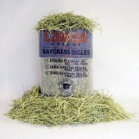 FENO SELECT HAY SECO RAYGRASS INGLÊS - FARDO 80 LT