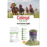FENO SELECT HAY SECO RAYGRASS INGLÊS - FARDO 80 LT