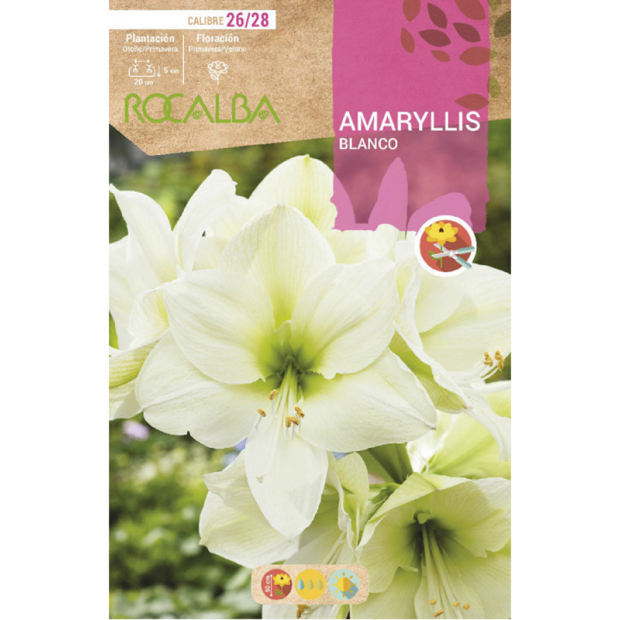 S.BOLBO RO.GAVETA 15 AMARYLLIS BRANCO  -BUAM1005