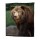 WISBROEK OMNIVORE DIET 8MM - 15 KG