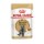 ROYAL CANIN GATO BRITISH SHORTHAIR MOLHO 0.085 KG