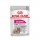ROYAL CANIN CAO EXIGENT 0.085 KG