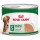 ROYAL CANIN CAO MINI AGEING PATÊ - 0.195 KG