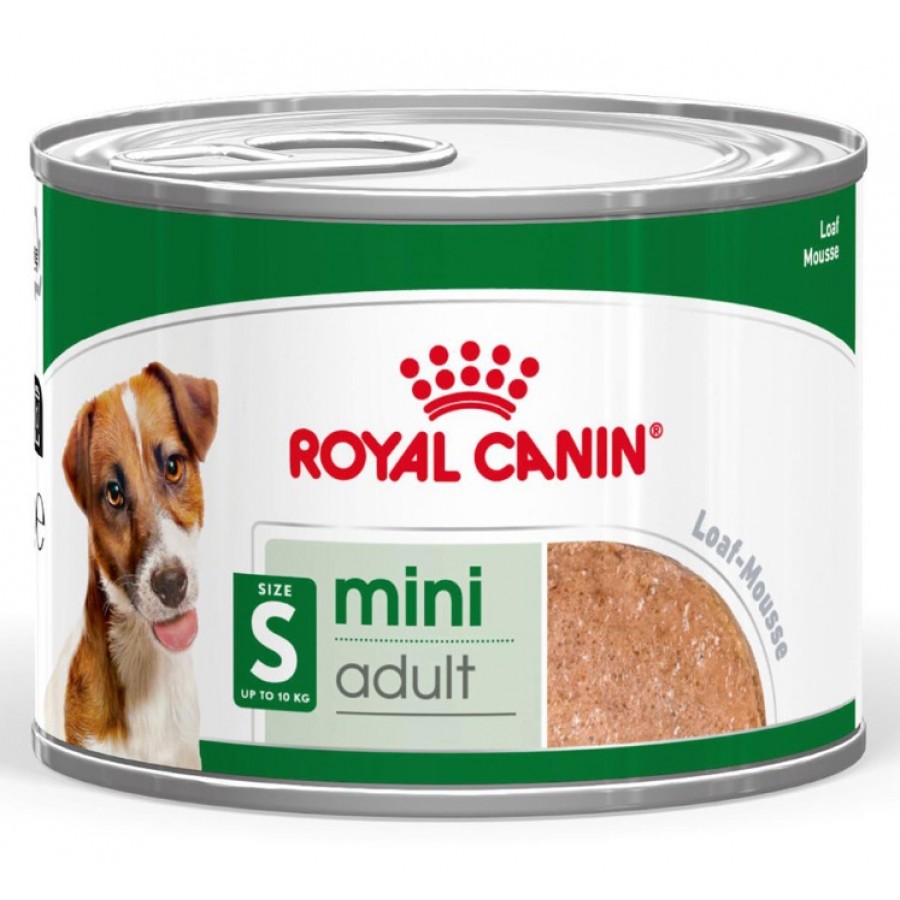 ROYAL CANIN CAO MINI AGEING PATÊ - 0.195 KG ROYAL CANIN CAO MINI AGEING PATÊ - 0.195 KG