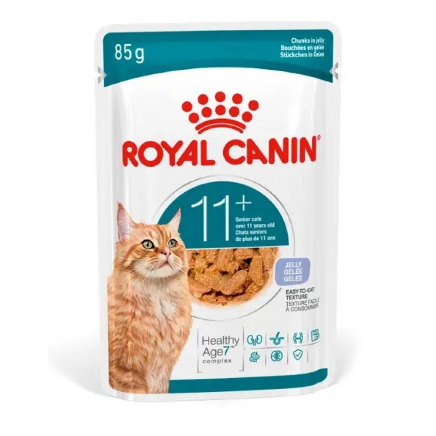 ROYAL CANIN GATO AGEING 11+ JELLY 0.085 KG ROYAL CANIN GATO AGEING 11+ JELLY 0.085 KG