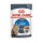 ROYAL CANIN GATO ULTRA LIGHT MOLHO 0.085 KG