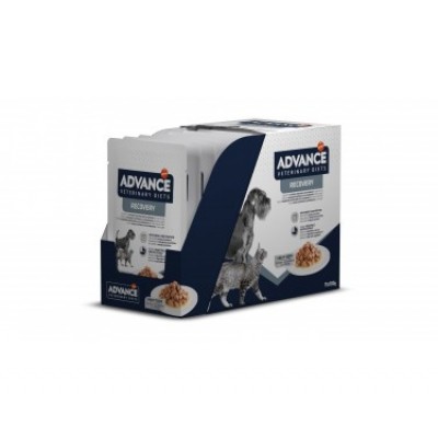 ADVANCE VET CAO&GATO WET RECOVERY (11X100G)
