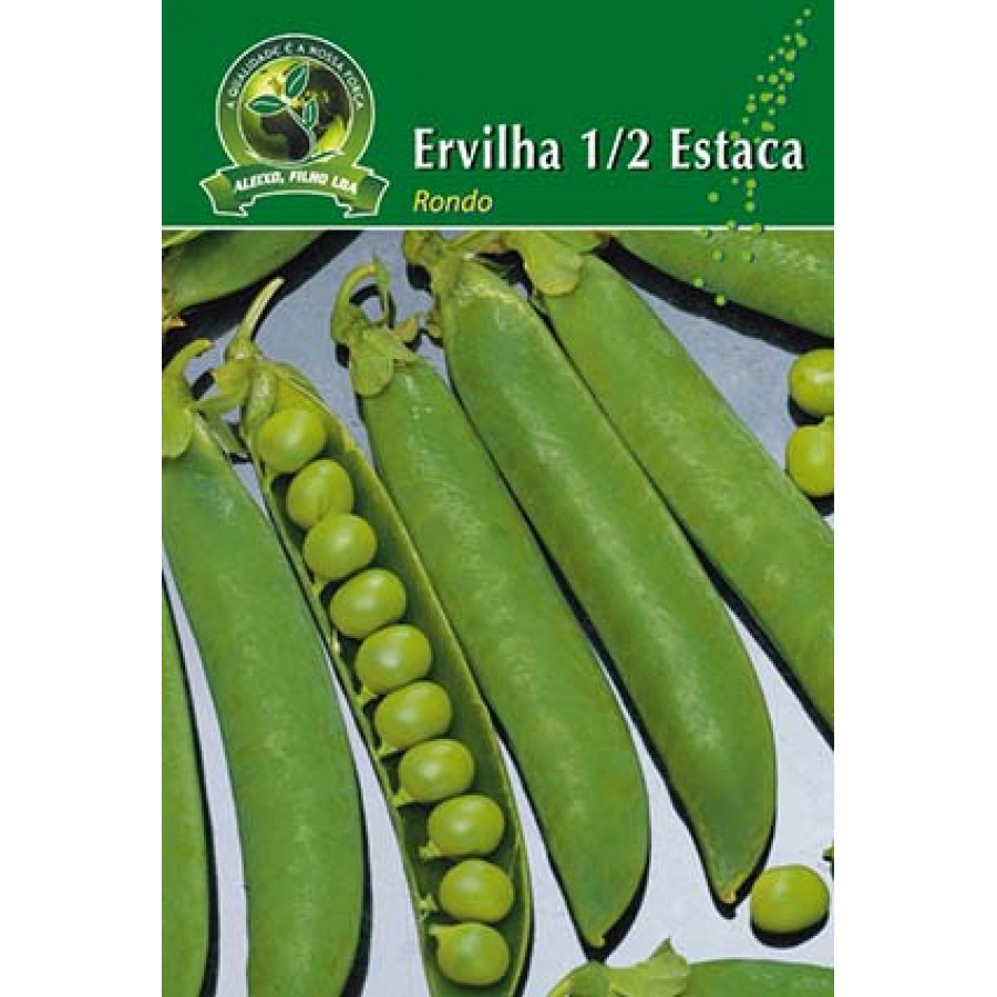 S.ERVILHA GRAO 1/2 RONDO ALEIXO- CARTEIRA S.ERVILHA GRAO 1/2 RONDO ALEIXO- CARTEIRA