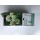 S.BOLBO DC AGAPANTHUS - CX 10 UNIDADE